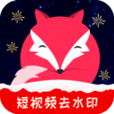 飞狐视频去水印安卓版