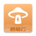蘑菇云手机app