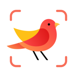 PictureBird
