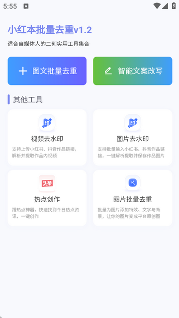 小红本批量改写怎么操作