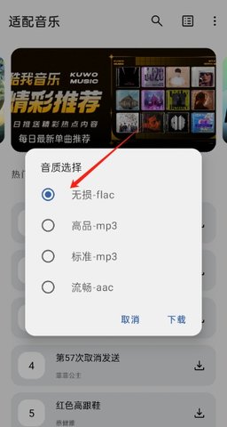 适配音乐怎么下载歌曲
