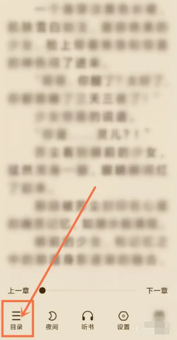 必阅小说如何选择章节