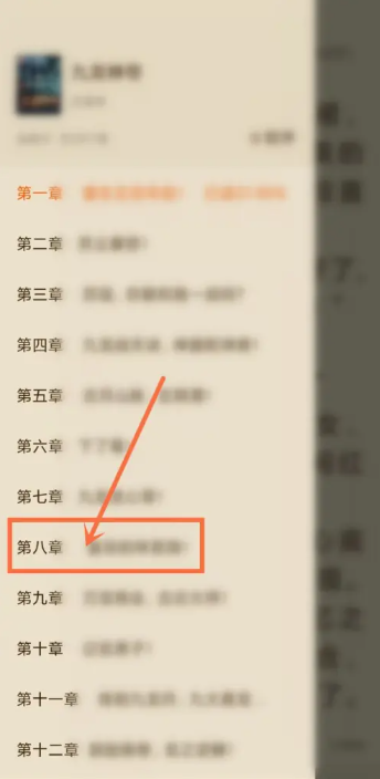 必阅小说如何选择章节