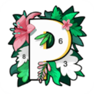 paintly数字填色