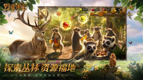 野兽领主新世界官方版截图1