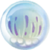 合成大水母(jellyfish)手机版