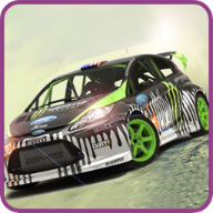 无限试驾(Rally Racer Dirt)安卓版