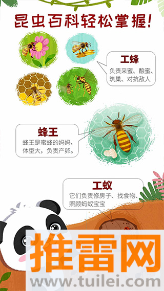 奇妙昆虫世界游戏截图1