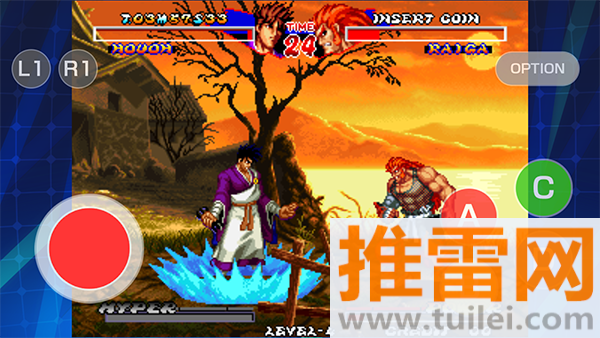 霸王忍法帖(NINJA MASTER