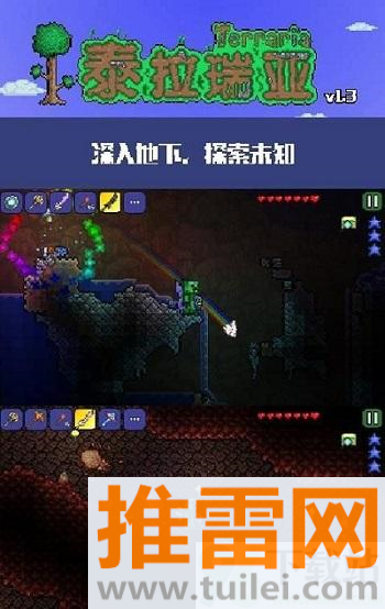 泰拉瑞亚(Terraria)手机版截图1