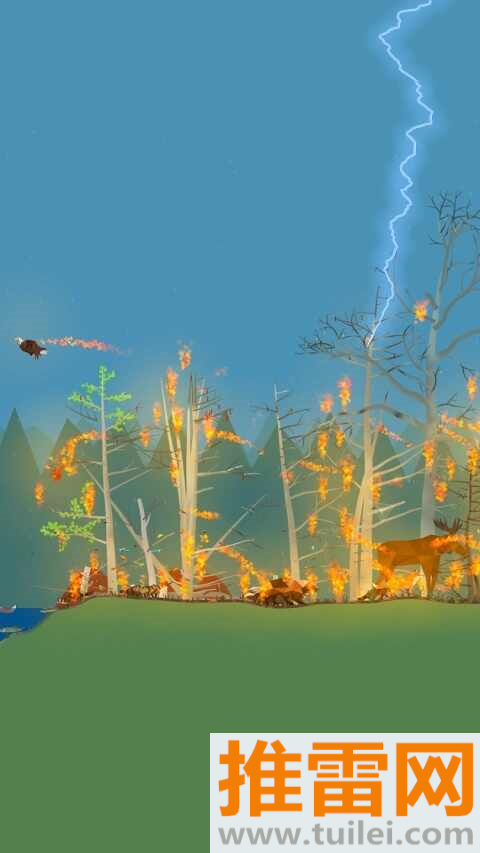 小松林免费版截图1