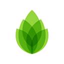 芦笋录屏最新版