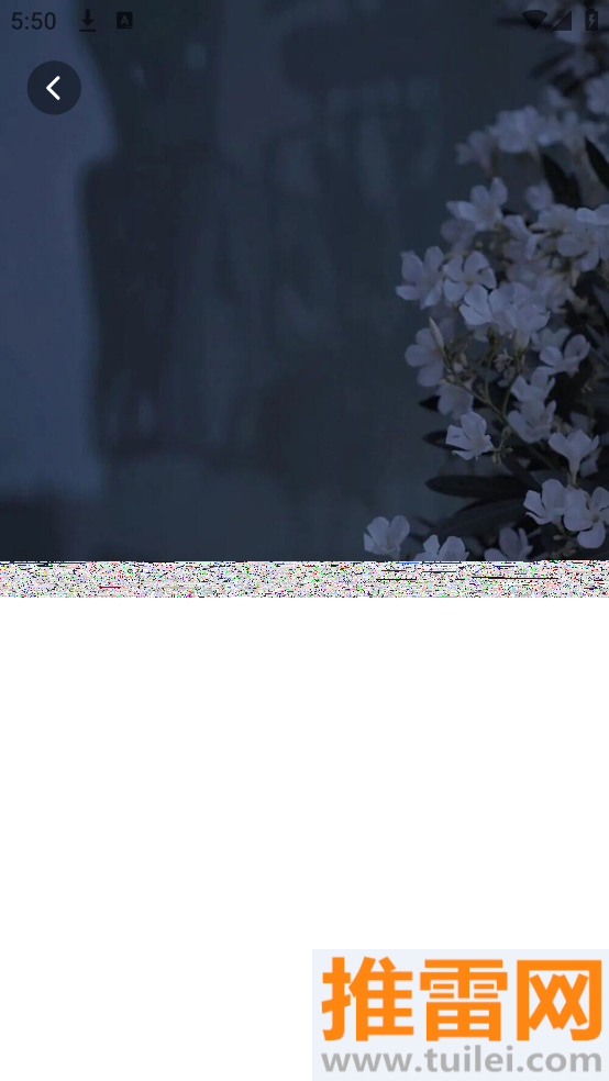 麦麦壁纸官方版截图1